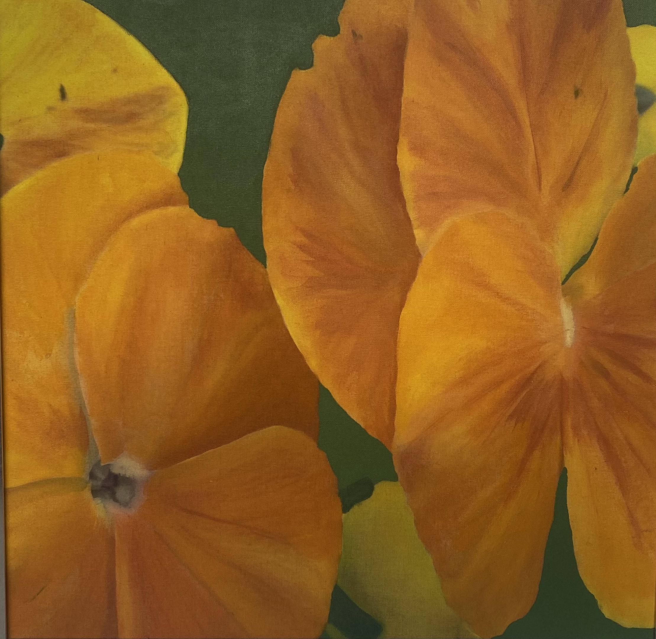 Flores amarillas&#60;br&#62;Foto y acrílico sobre tela&#60;br&#62;60x60cm